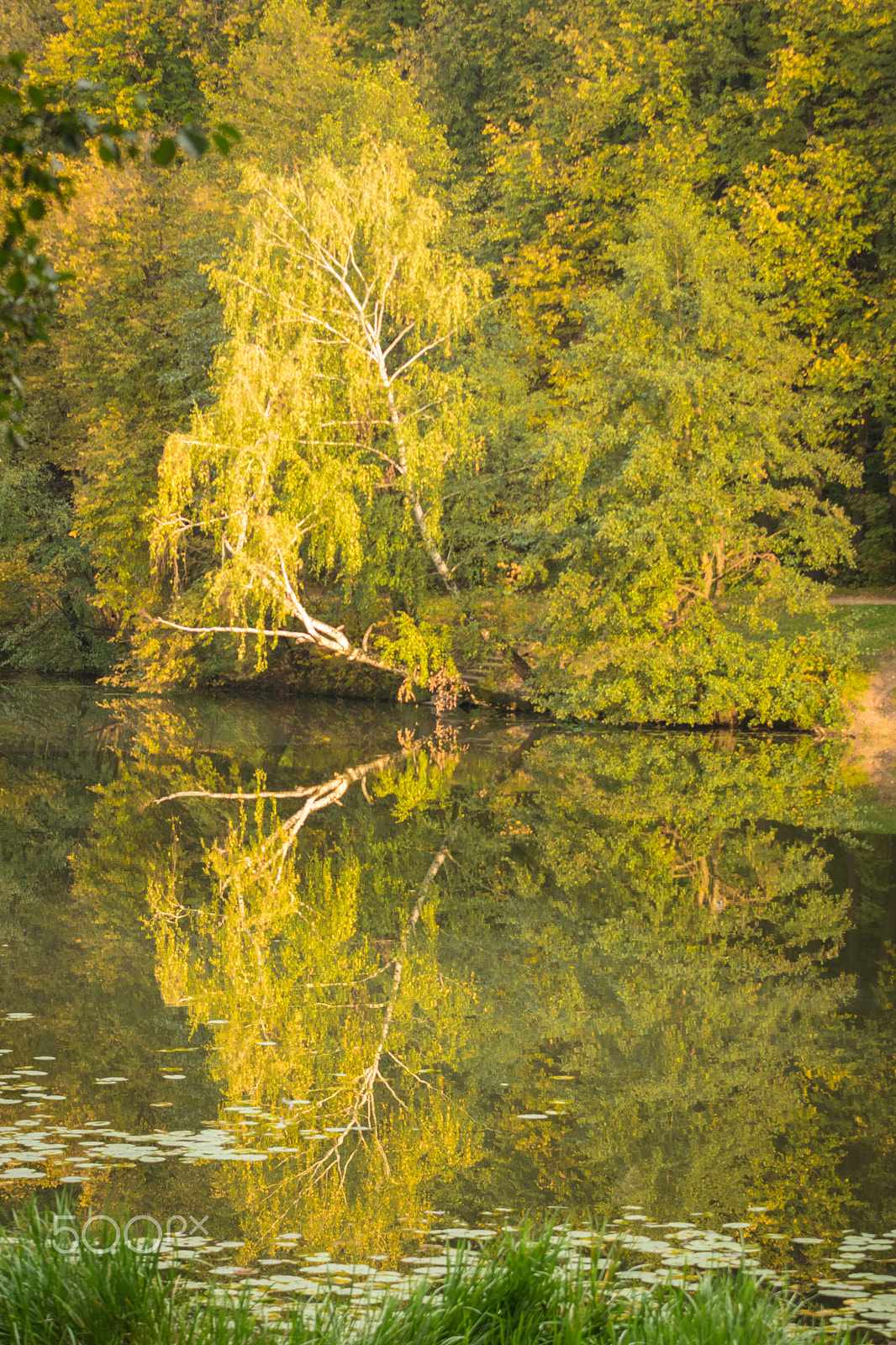 Sigma 70-200mm F2.8 EX DG OS HSM sample photo. Autumn photography