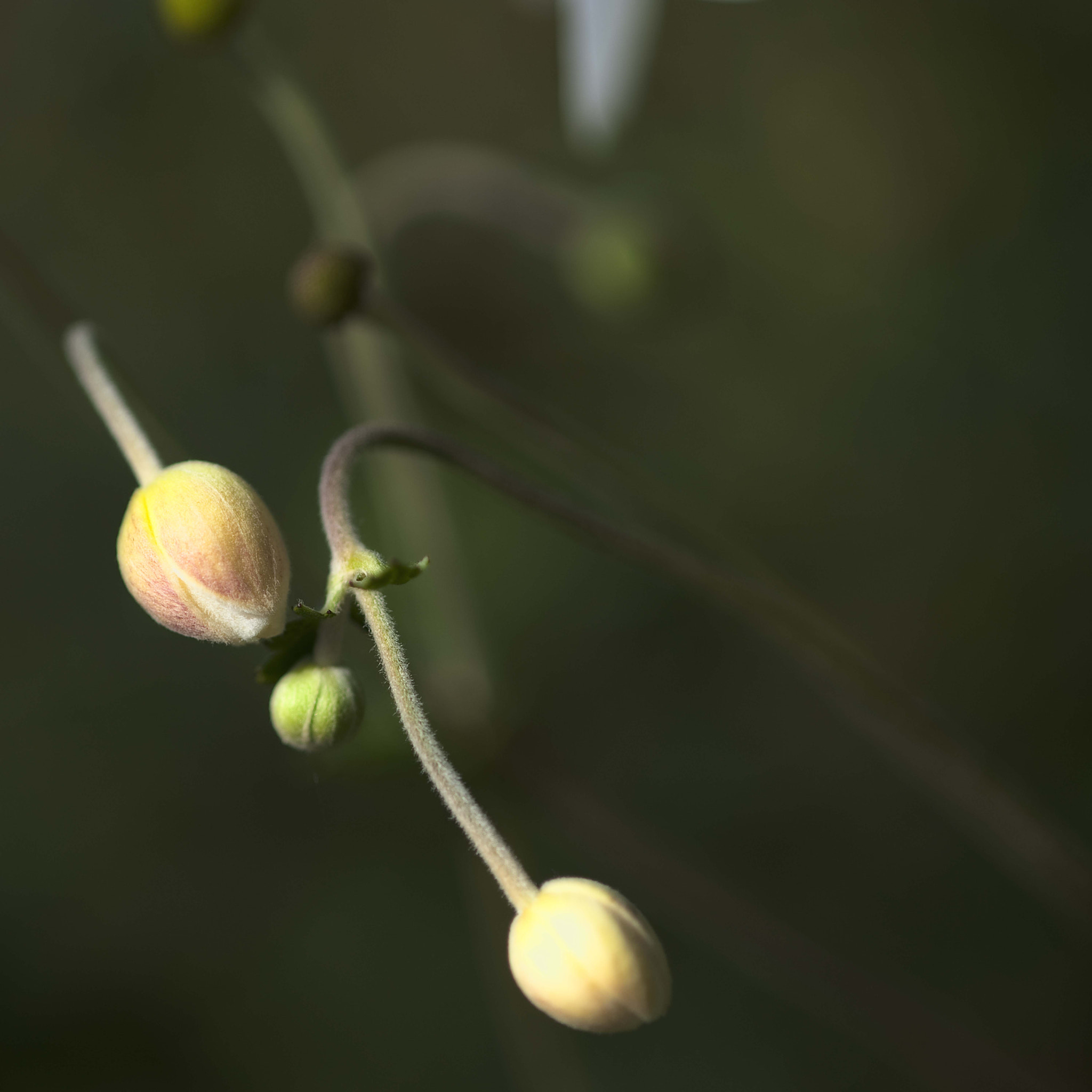 Nikon D3 sample photo