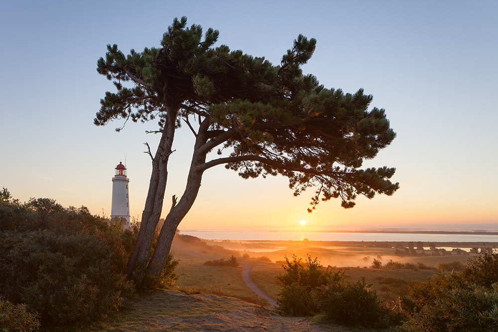 Canon EOS 5D Mark II + Canon TS-E 24.0mm f/3.5 L II sample photo. Hiddensee - magic moments ... photography