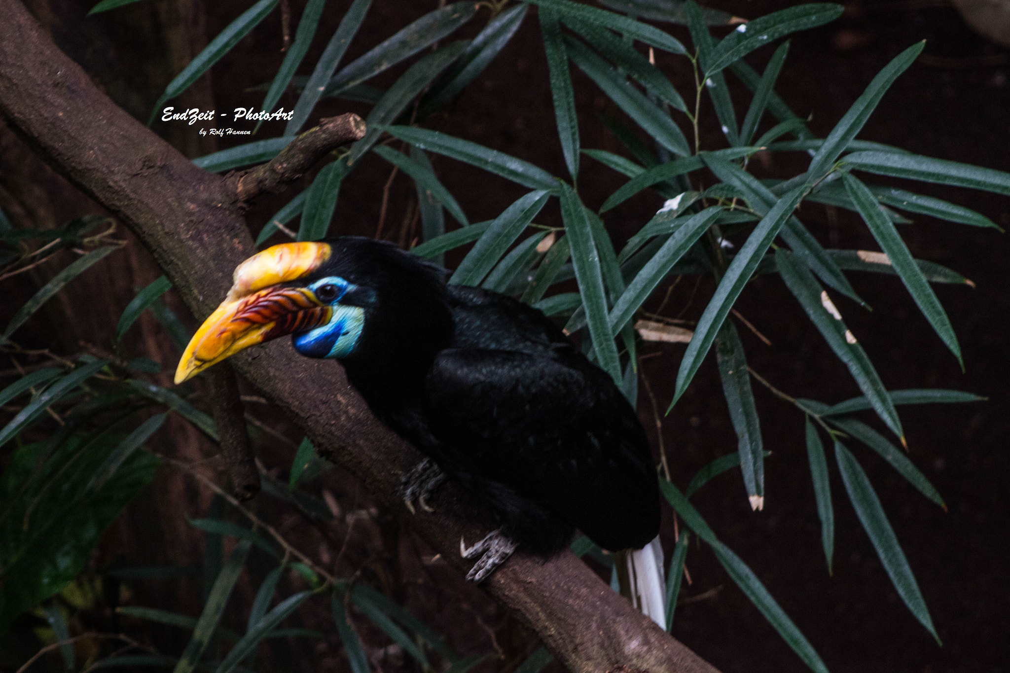 Canon EF 75-300mm f/4-5.6 USM sample photo. ... colourfull ... photography