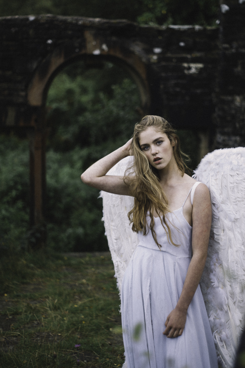 Sony Alpha DSLR-A900 + Minolta AF 50mm F1.7 sample photo. Fly away with me photography