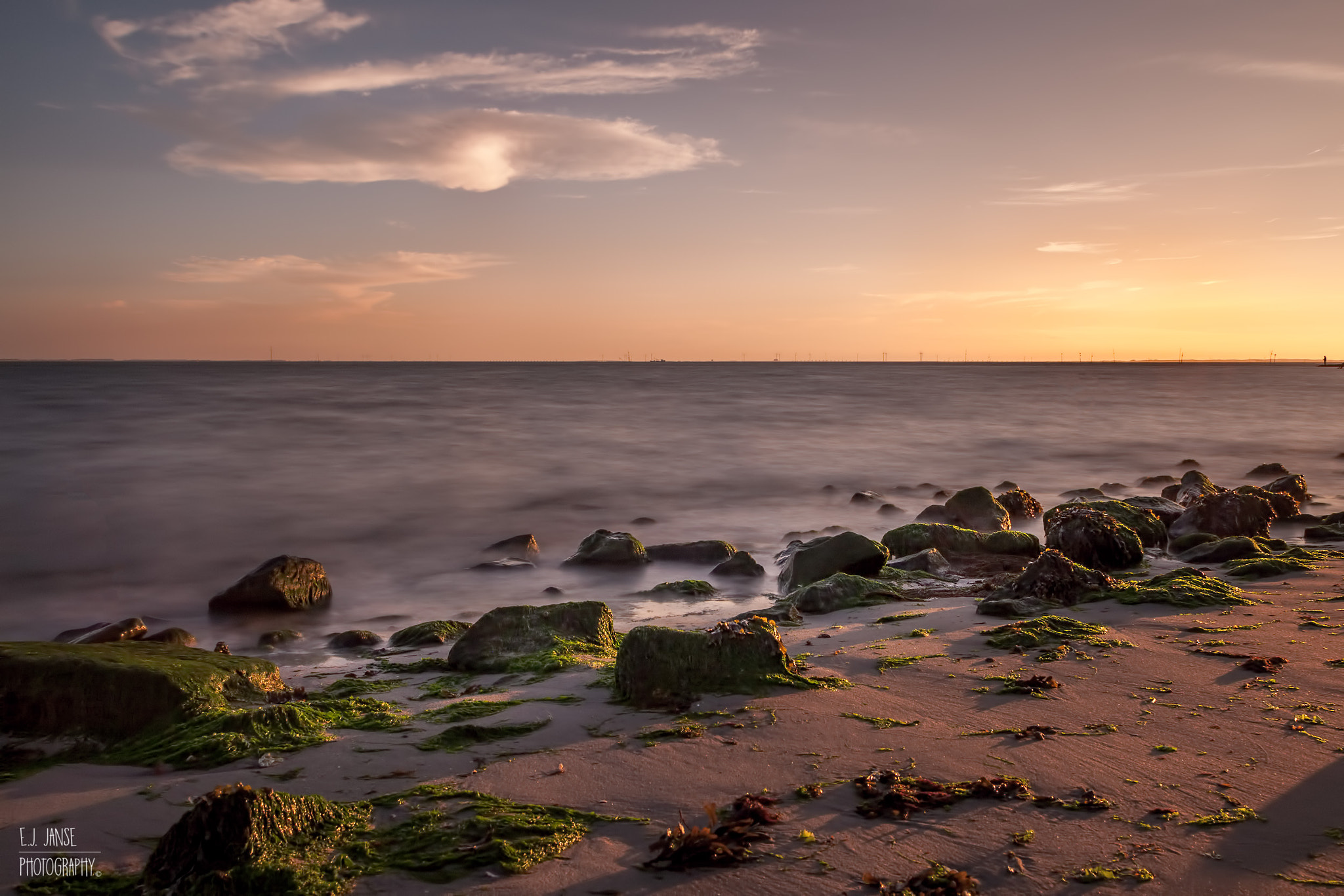 Canon EOS-1D Mark III sample photo. Borrendamme photography