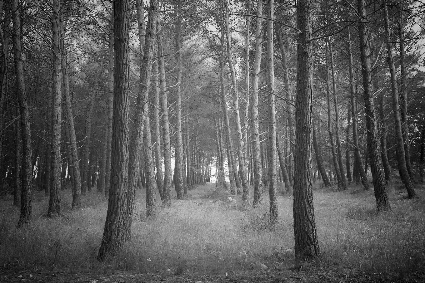 Nikon AF-S Nikkor 14-24mm F2.8G ED sample photo. Borgo dei briganti photography