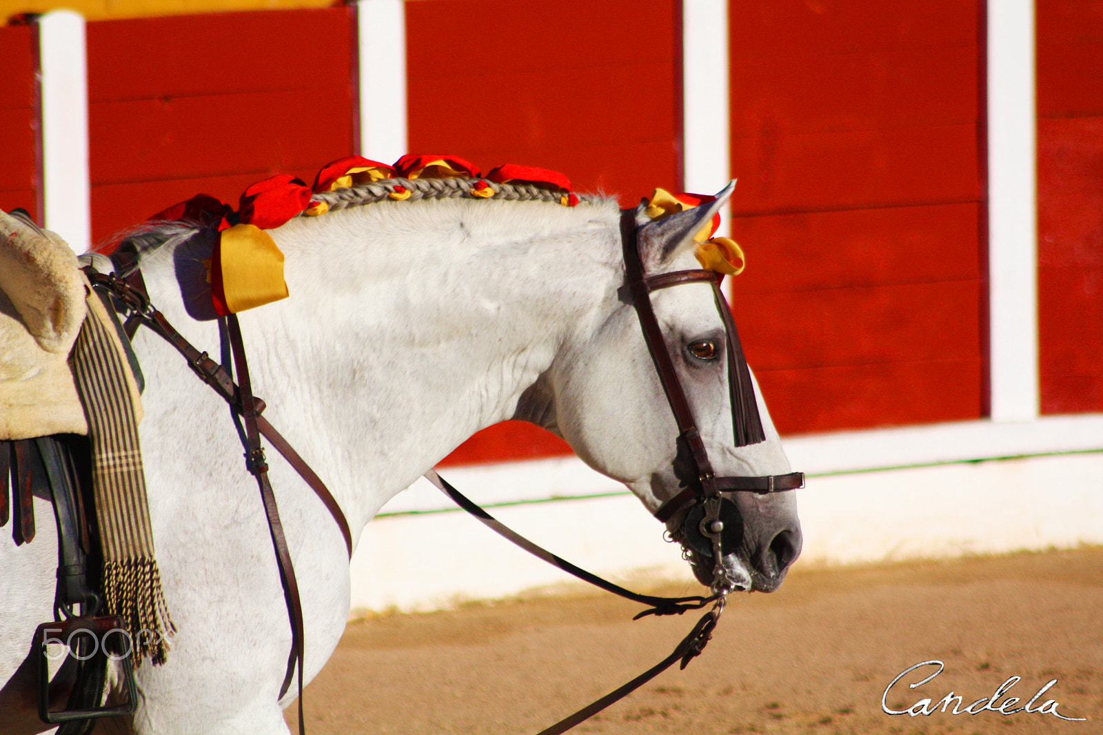 Canon EOS 450D (EOS Rebel XSi / EOS Kiss X2) + Canon EF 100-300mm f/5.6 sample photo. Caballo rejoneo photography