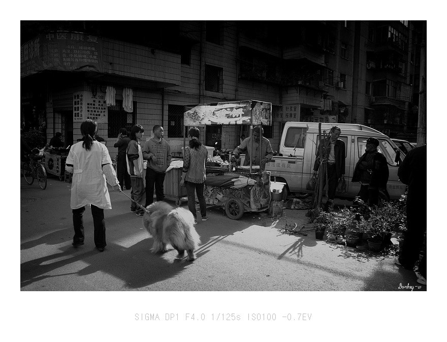 Sigma DP1 sample photo. Flower market photography