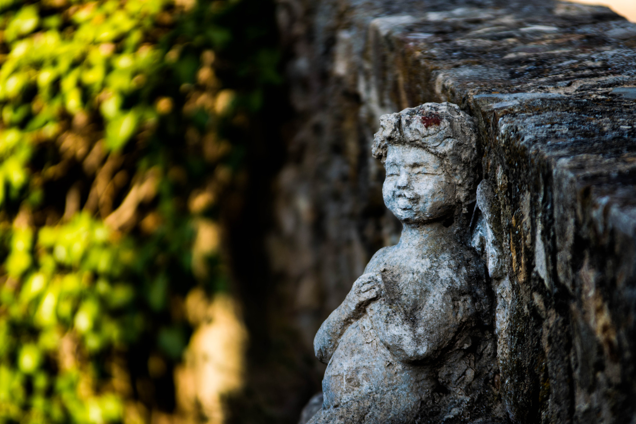 Nikon AF-S Nikkor 70-200mm F2.8G ED VR II sample photo