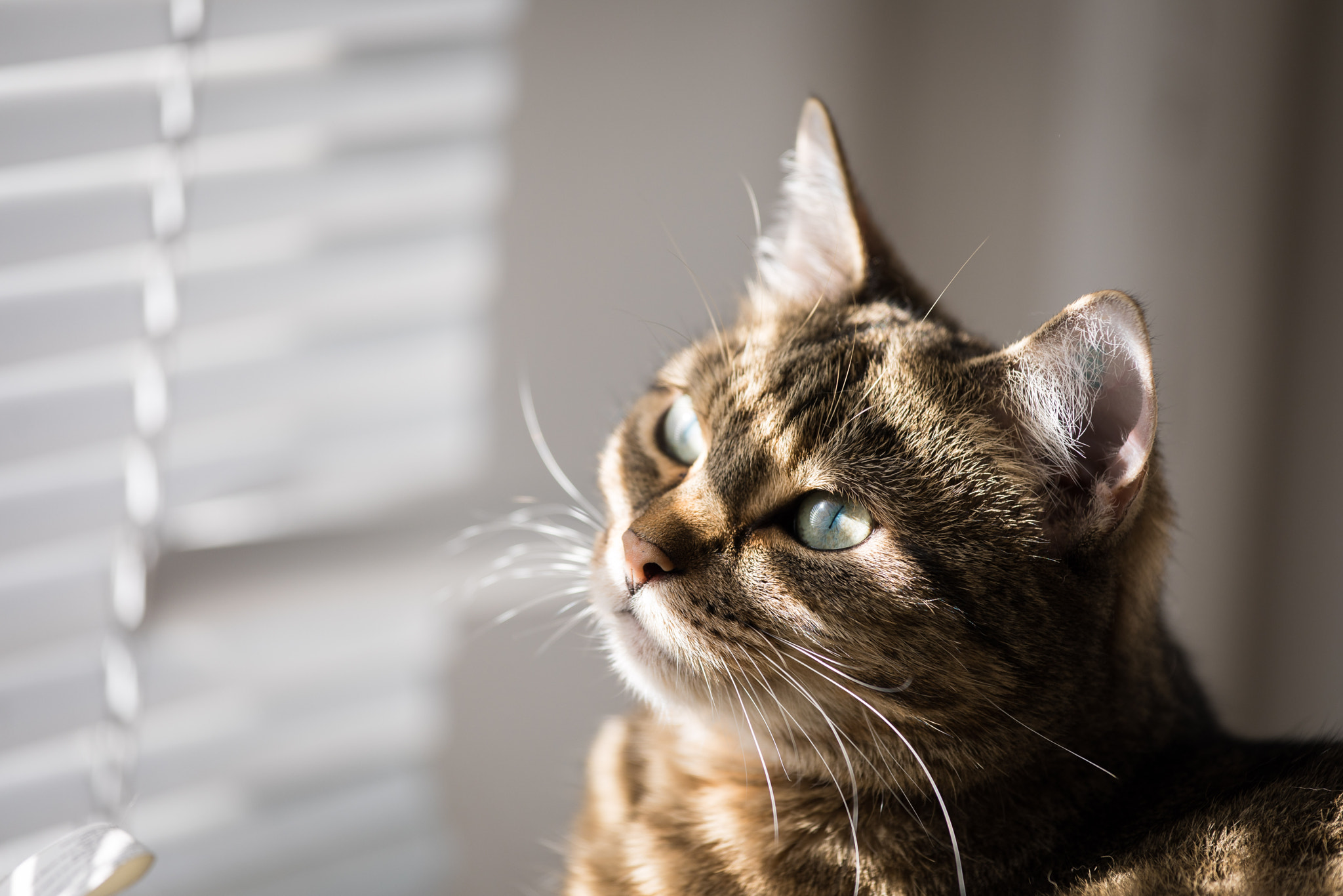 Canon EF 70-200mm F4L IS USM sample photo. View photography