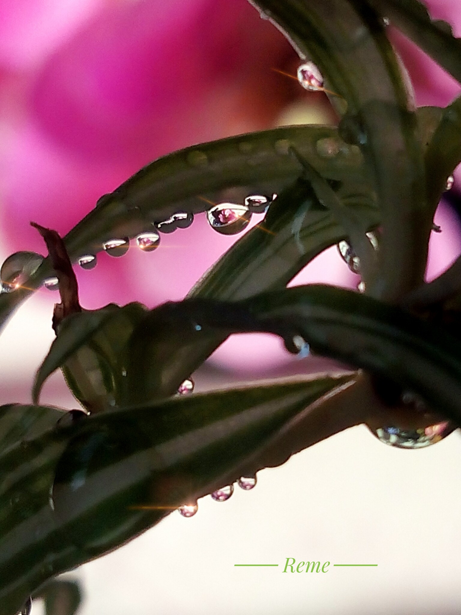 bq Aquaris E5 HD sample photo. Gotas 2 photography
