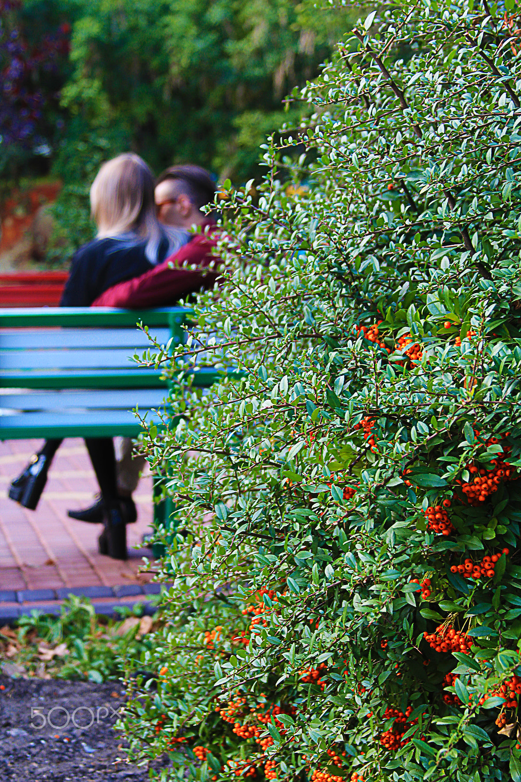 Canon EF 28-135mm F3.5-5.6 IS USM sample photo. Lovers photography