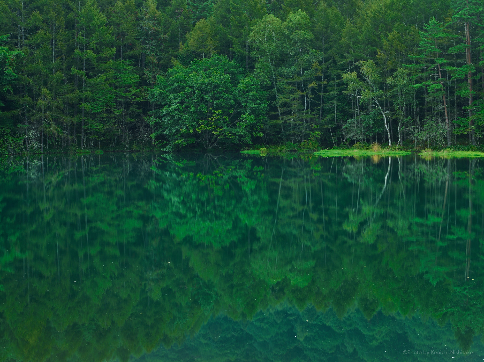 Pentax 645D sample photo. Misyaka pond photography