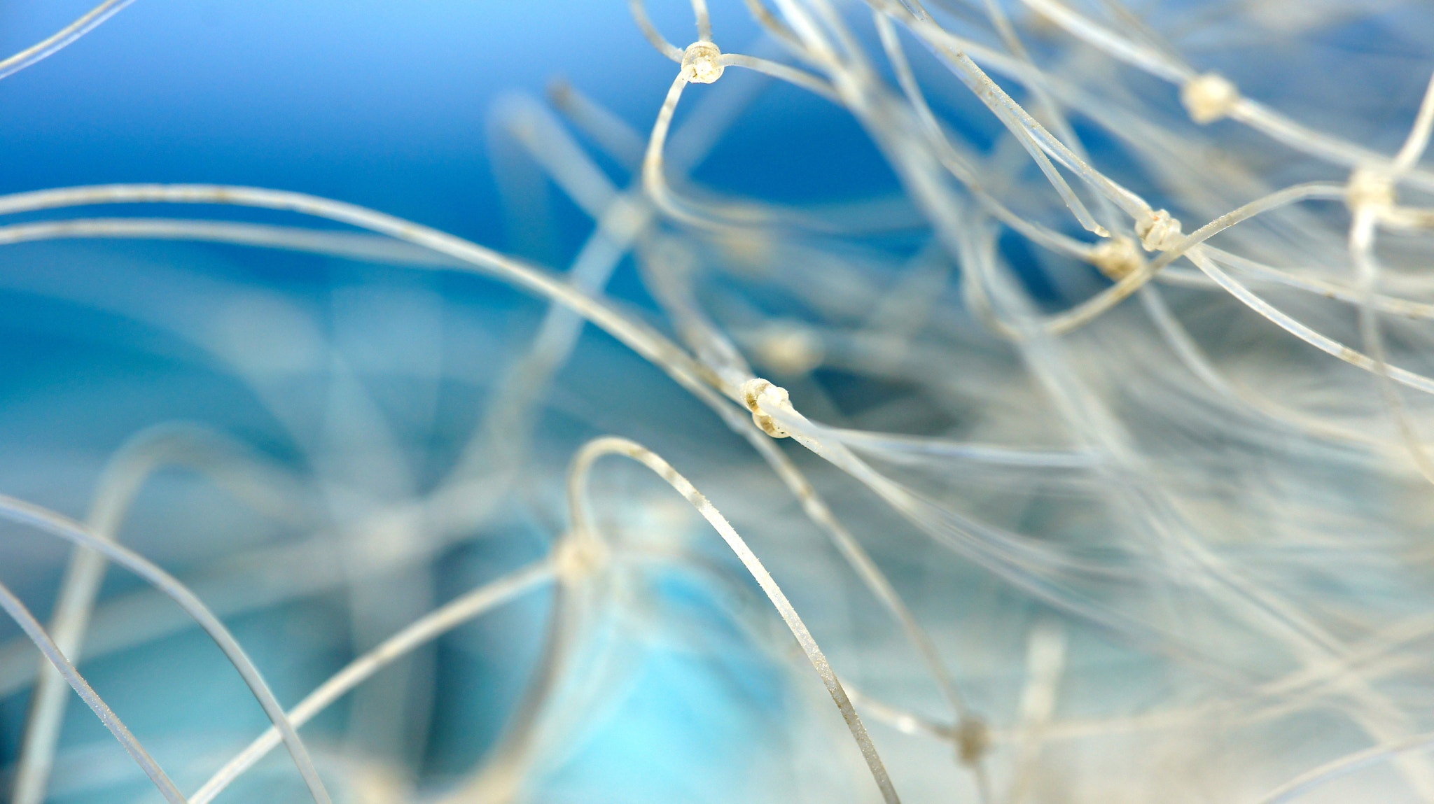 Tamron 18-200mm F3.5-6.3 Di III VC sample photo. Fishing net closeup on a fishing boat in brazil photography