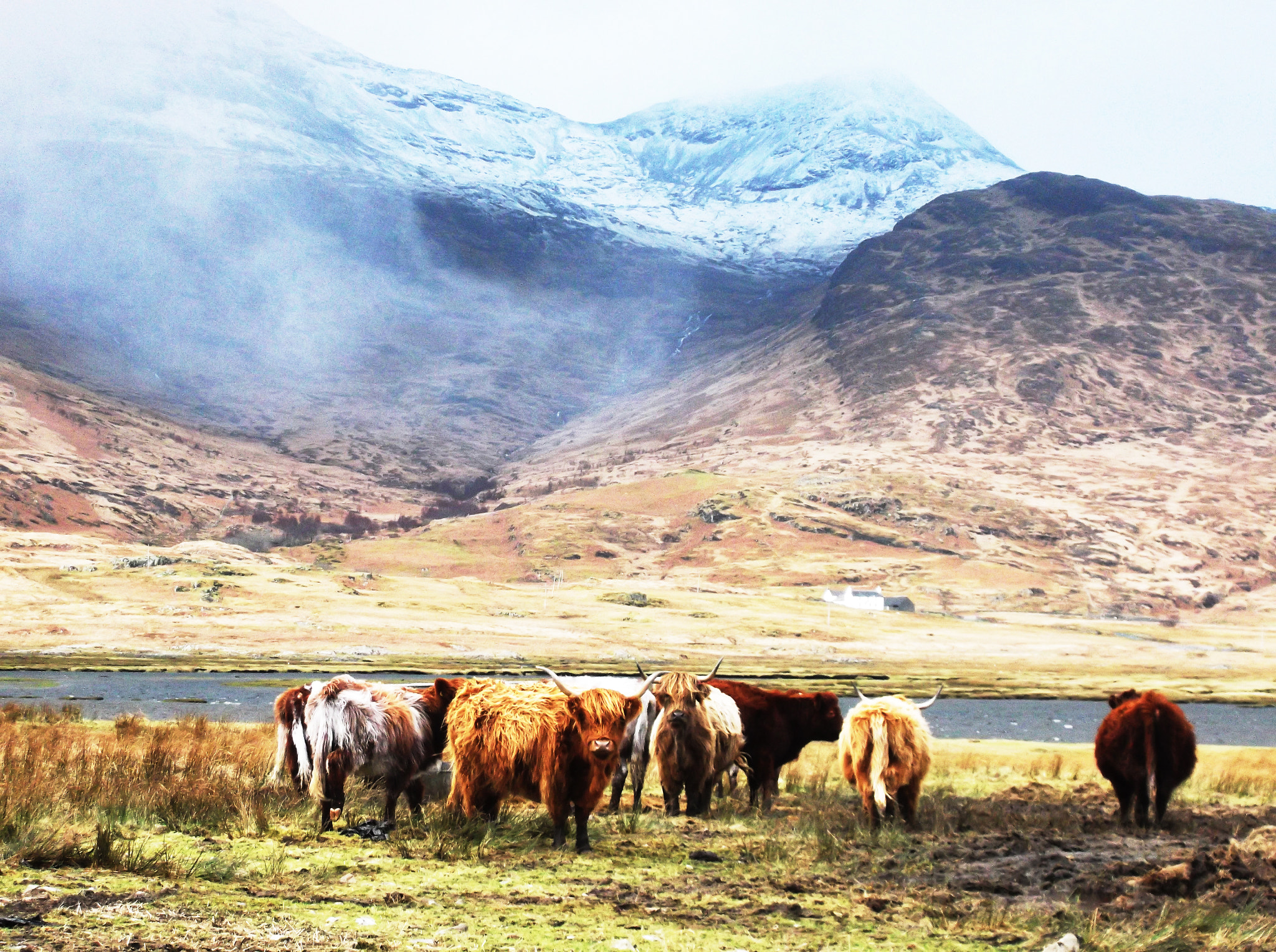 FujiFilm FinePix AV250 (FinePix AV255) sample photo. Scottish highlands photography