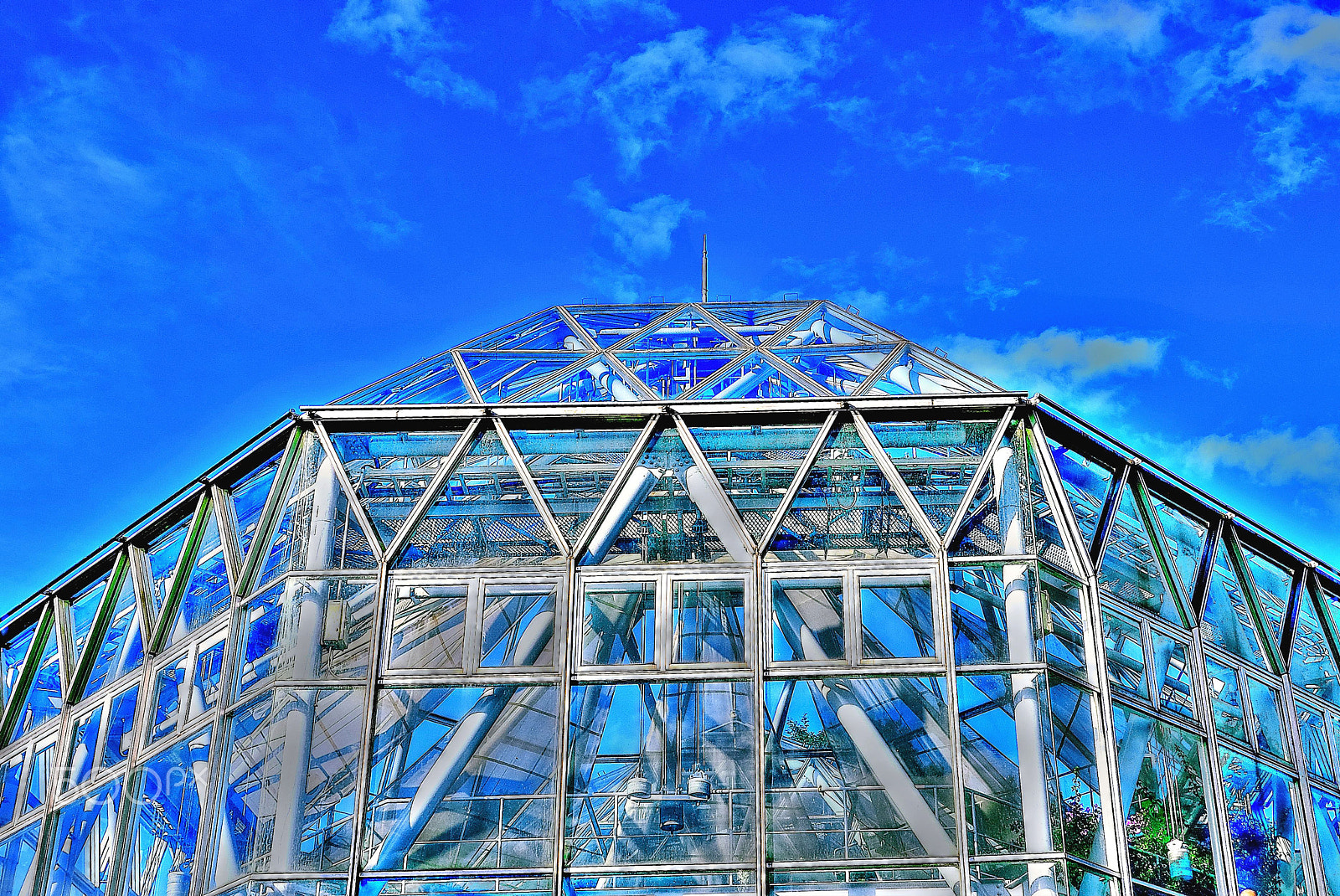 Nikon D200 sample photo. Glass house and azure sky photography
