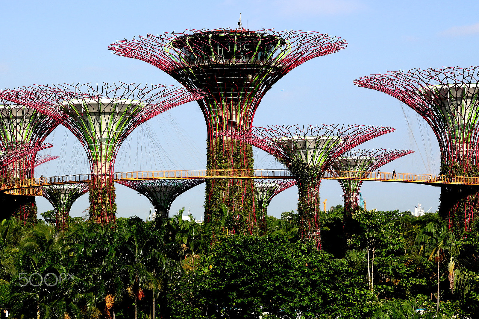 Canon EOS 100D (EOS Rebel SL1 / EOS Kiss X7) sample photo. Garden by the way@singapore photography
