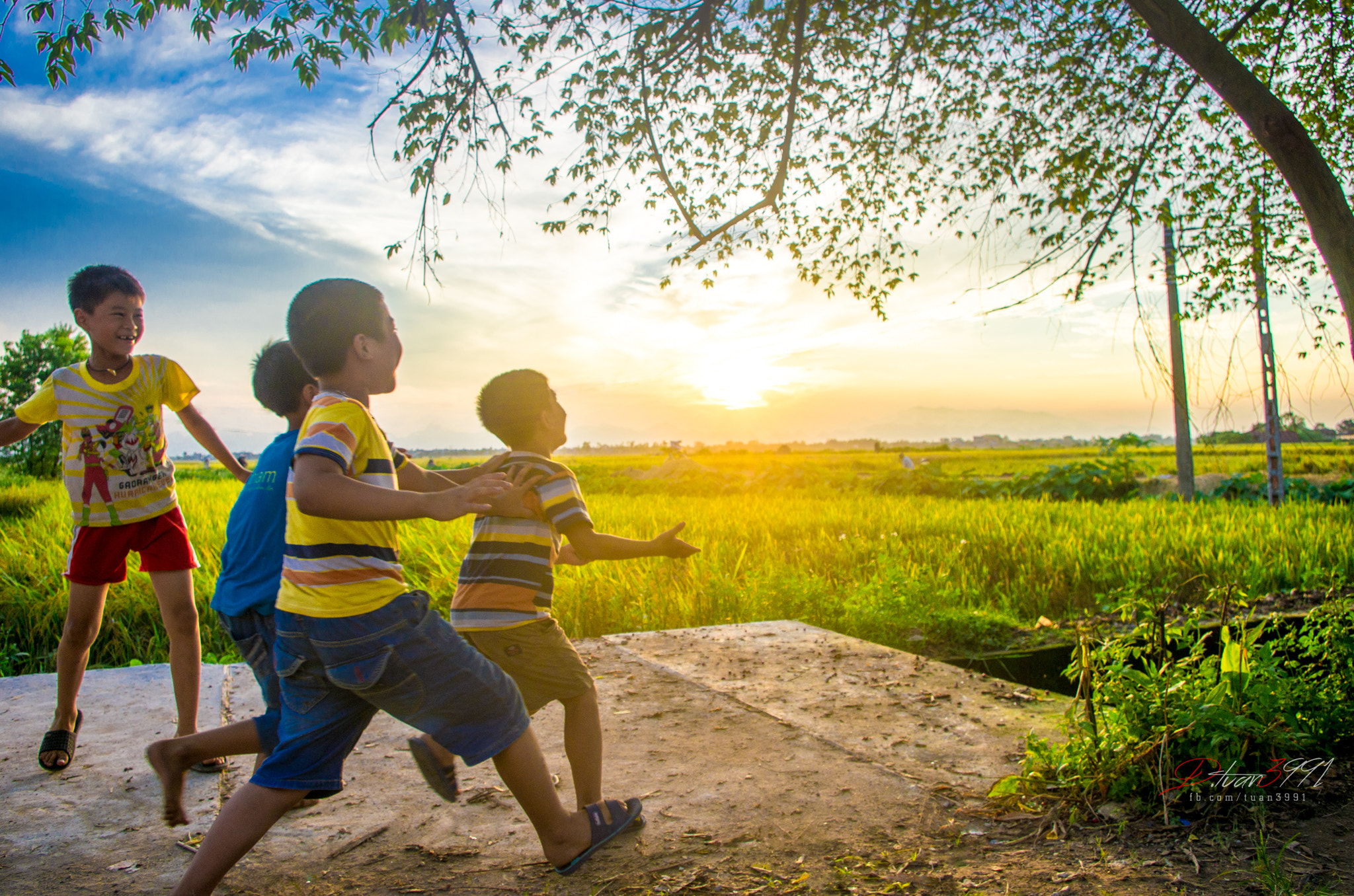Pentax K-5 sample photo. Sun (săn mặt trời) photography