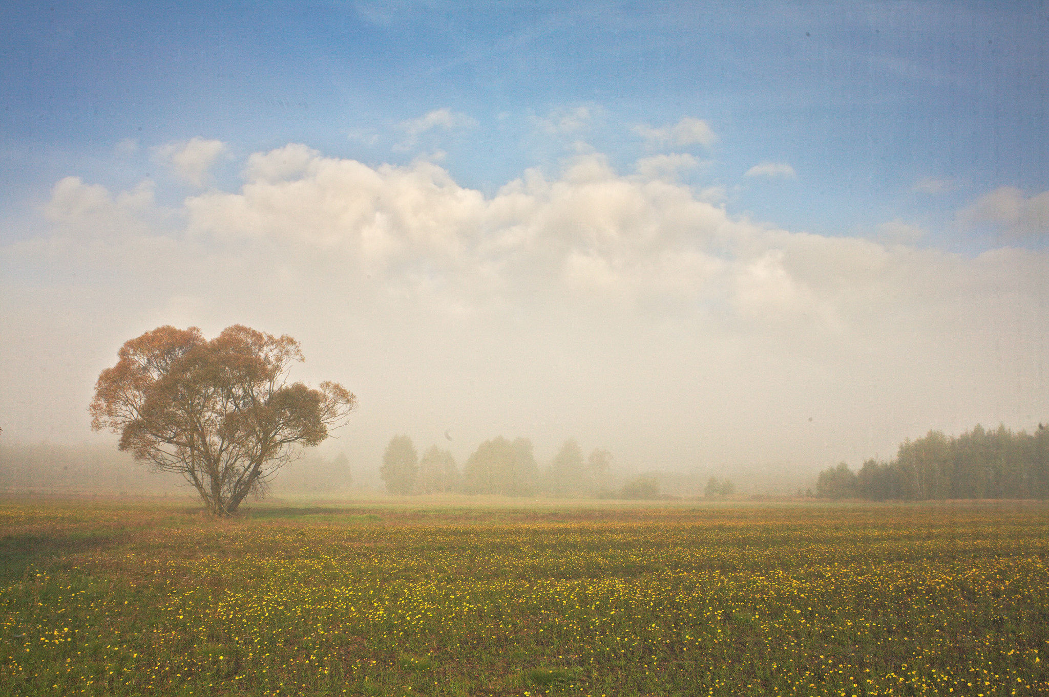 Canon EOS 5D sample photo. Foggy landscape photography