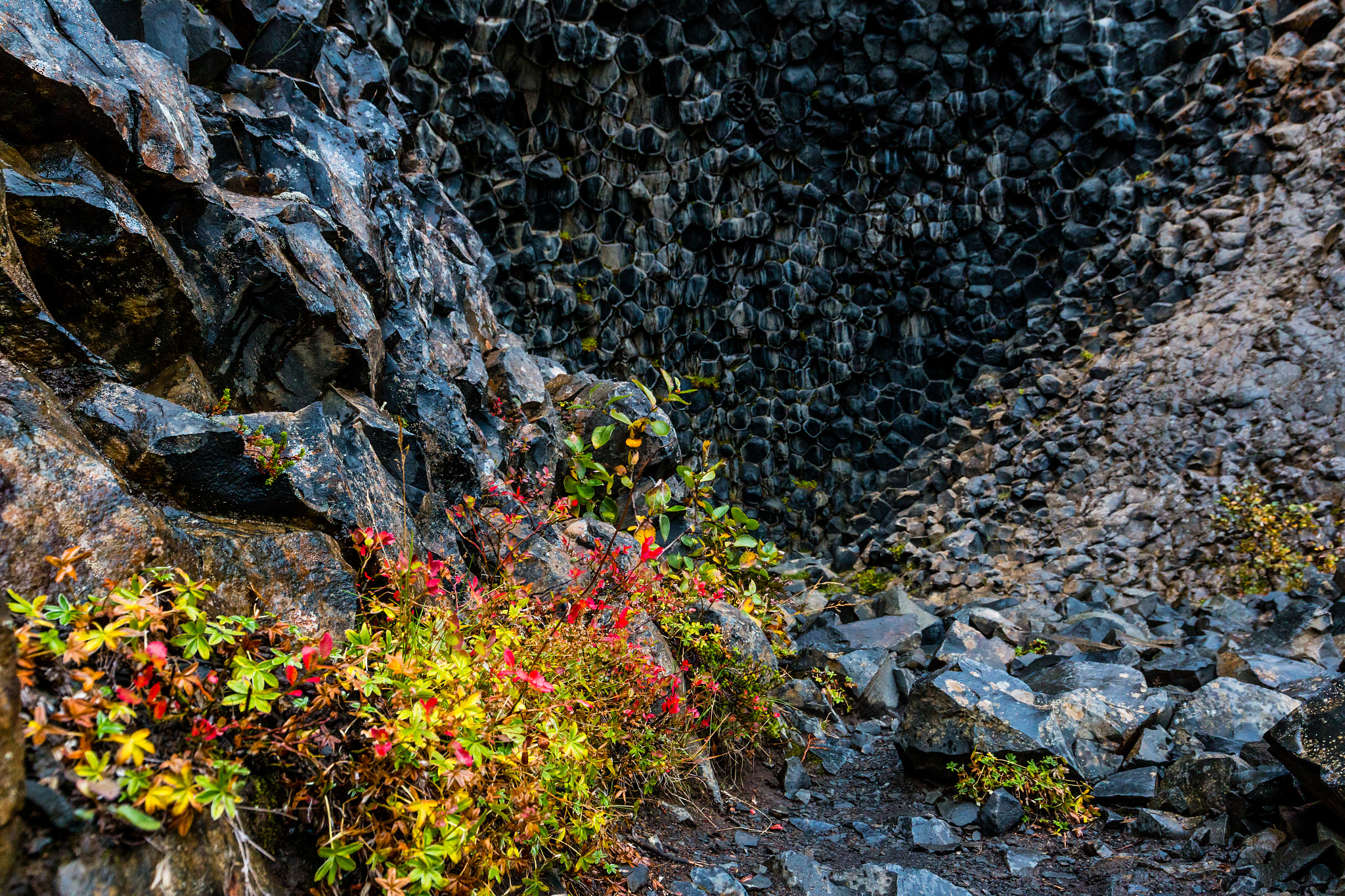 Canon EOS 70D + Canon EF 16-35mm F4L IS USM sample photo. Iceland-jökulsárgljúfur-basalt rock photography