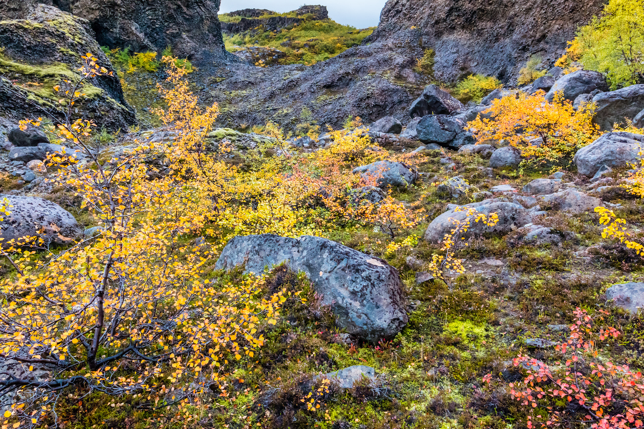 Canon EOS 70D + Canon EF 16-35mm F4L IS USM sample photo. Iceland-jökulsárgljúfur-fall photography