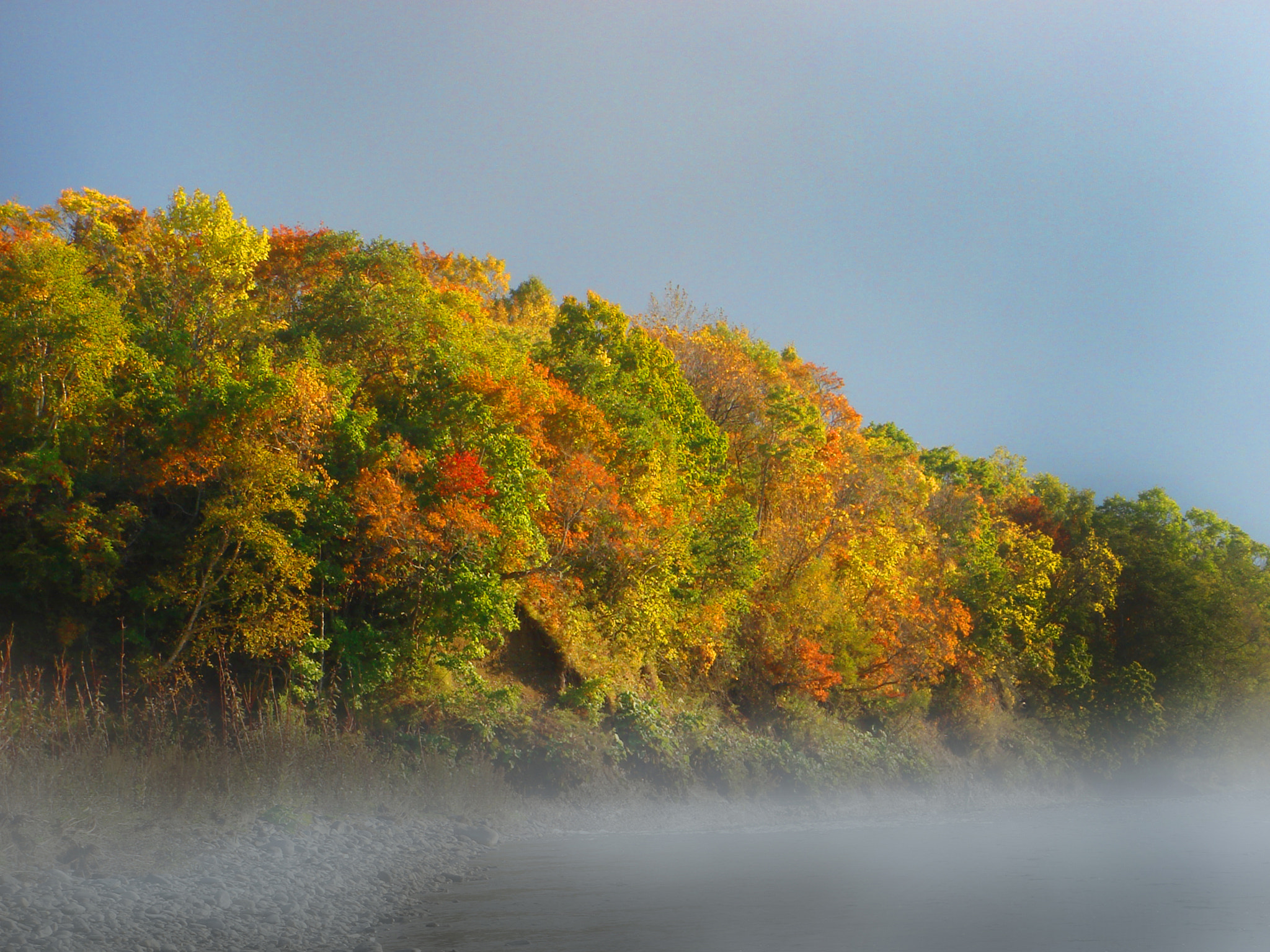 Color scheme in autumn