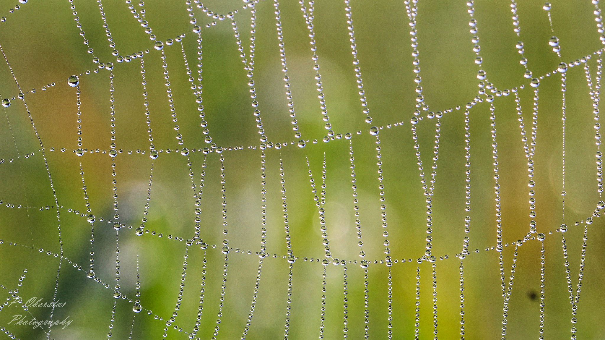 Canon EOS 600D (Rebel EOS T3i / EOS Kiss X5) + Canon EF 100mm F2.8L Macro IS USM sample photo. Tiny mirrors. photography