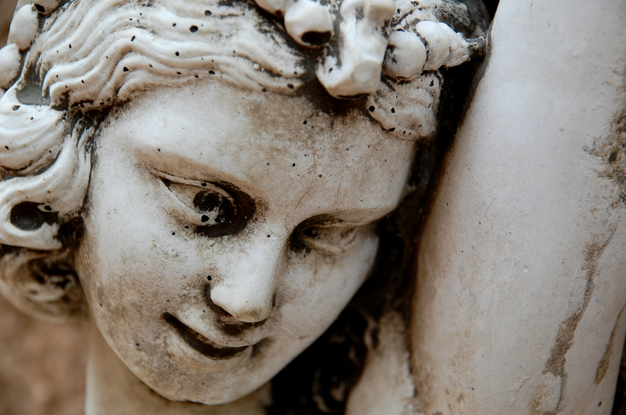 Nikon D40 sample photo. Petrified. photography