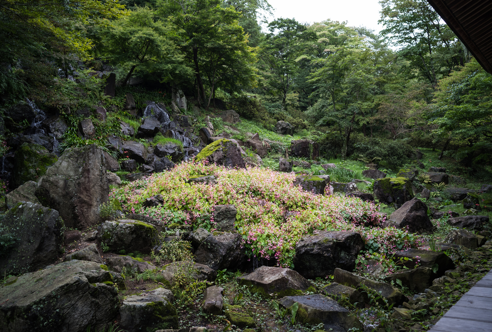 Pentax K-1 sample photo. Japanese garden photography