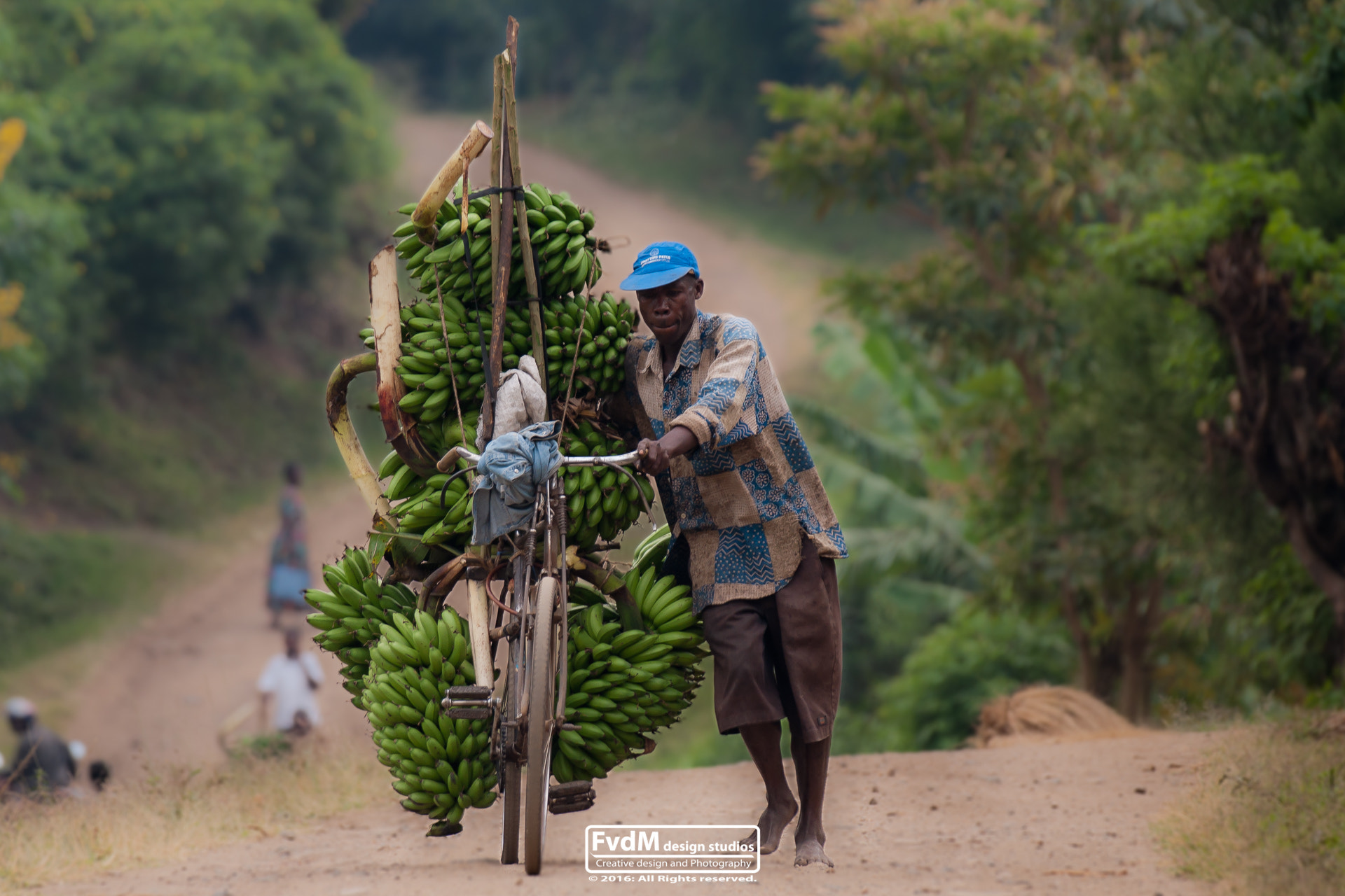 Sony Alpha DSLR-A700 + Sony 70-400mm F4-5.6 G SSM sample photo. Banana transport... photography