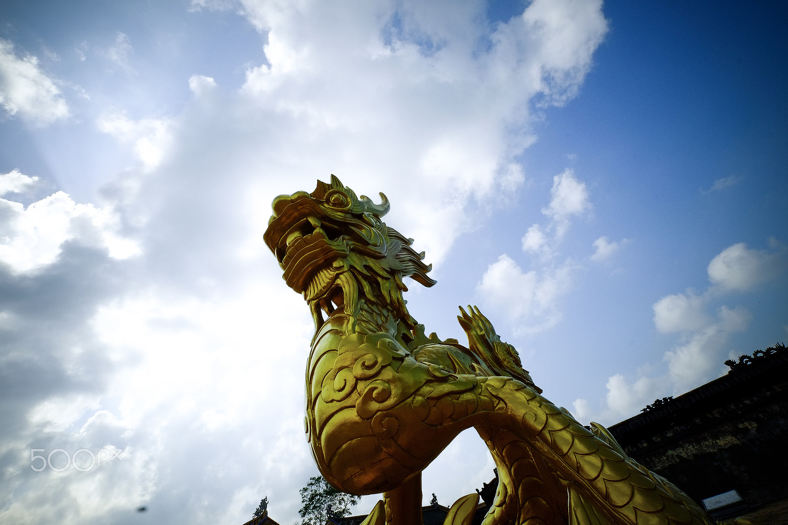 Fujifilm XF 10-24mm F4 R OIS sample photo. Sky dragon photography