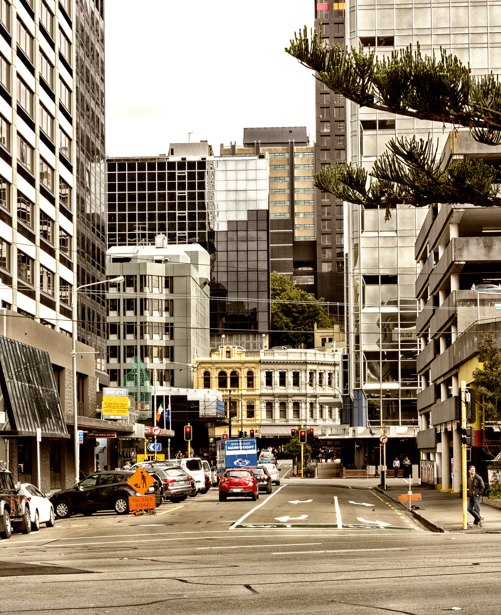 Sigma 24-105mm f/4 DG OS HSM | A sample photo. Wellington photography