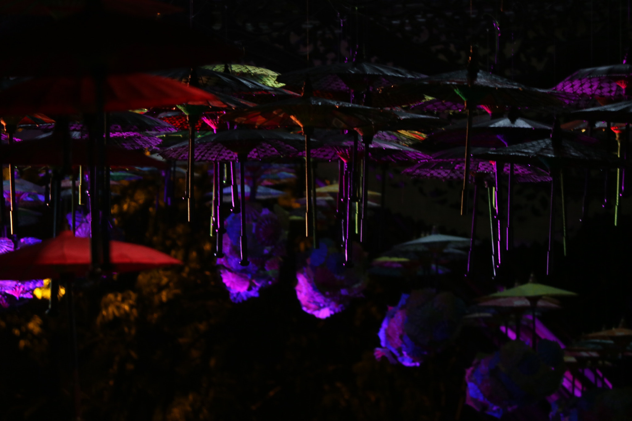 Canon EOS M3 sample photo. Umbrella festival  photography
