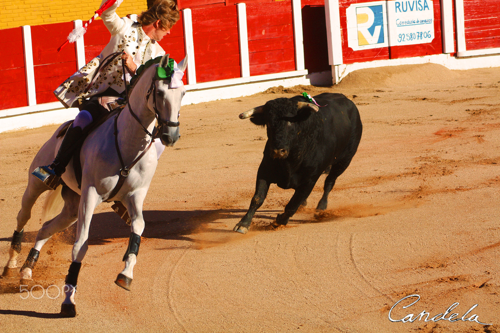 Canon EF 100-300mm f/5.6 sample photo. Rui fernandes los cruces photography