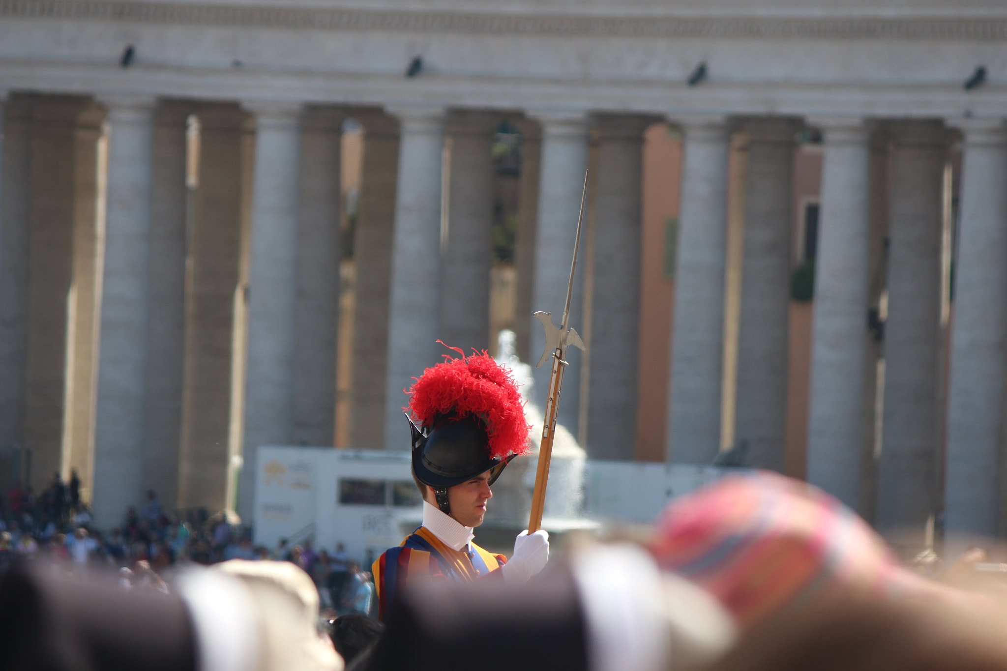 Canon EOS 650D (EOS Rebel T4i / EOS Kiss X6i) + Canon EF-S 55-250mm F4-5.6 IS sample photo. Vatican guard photography