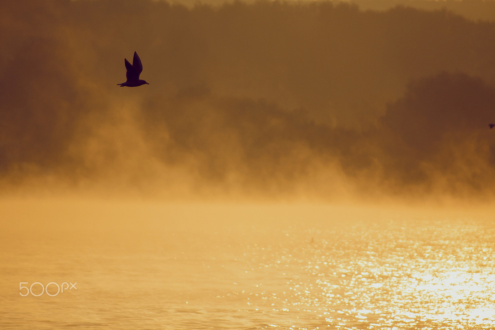 Canon EOS 50D + EF75-300mm f/4-5.6 sample photo. Hazy danube sunshine photography