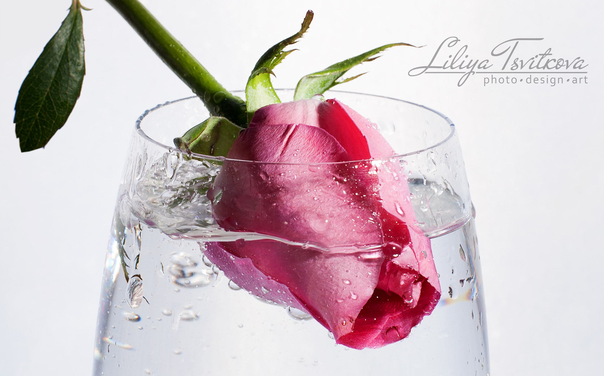 ZEISS Planar T* 50mm F1.4 sample photo. Rose in a glass of water photography