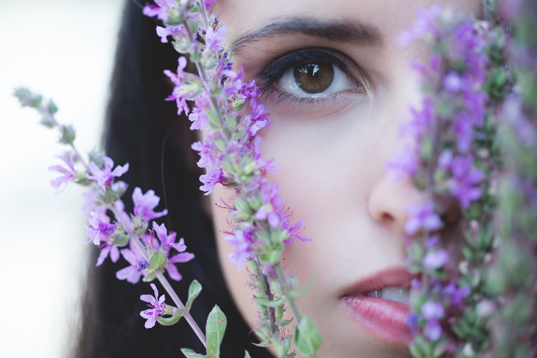 Nikon D4S sample photo. Immersion in nature photography