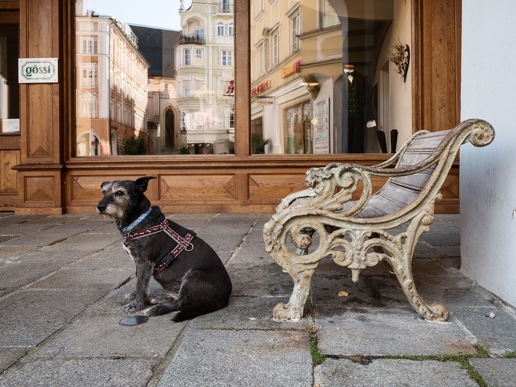 LUMIX G VARIO 12-60/F3.5-5.6 sample photo. Waiting photography