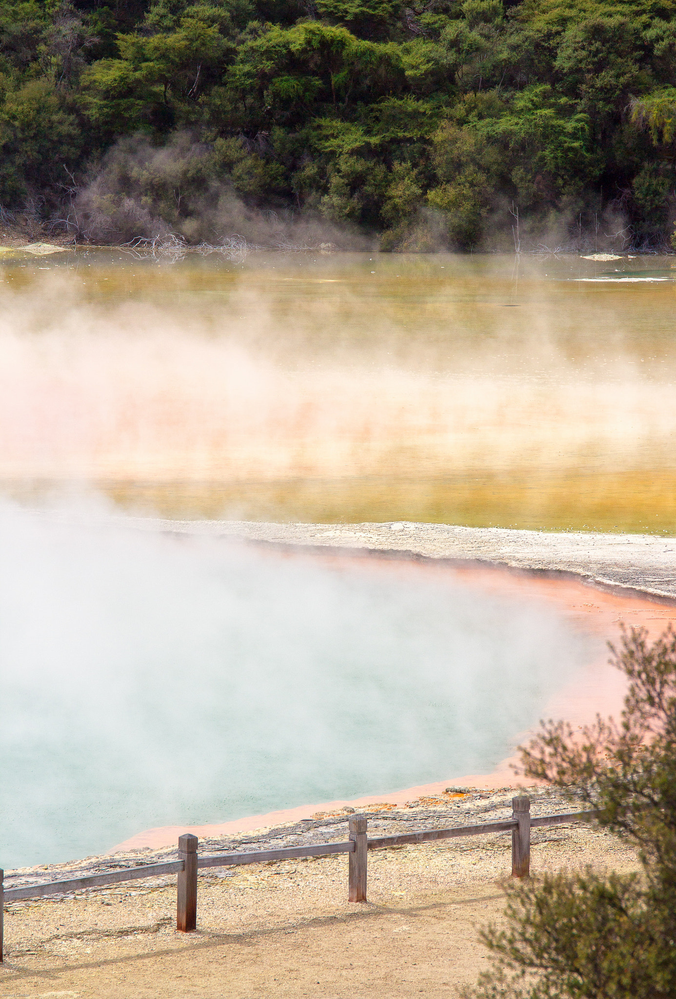 Sigma 24-105mm f/4 DG OS HSM | A sample photo. Champagne pool photography
