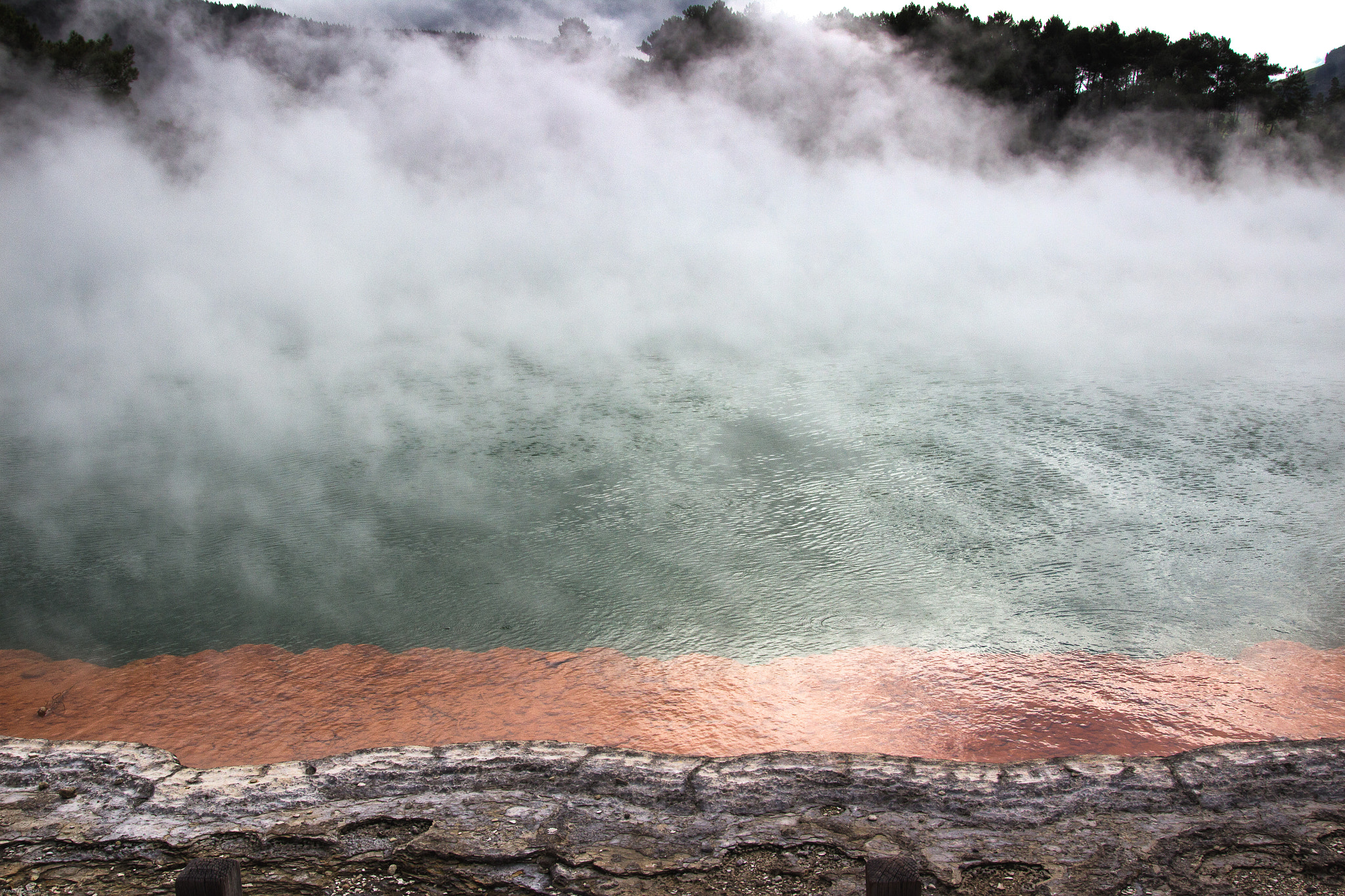 Sigma 24-105mm f/4 DG OS HSM | A sample photo. Champagne pool photography