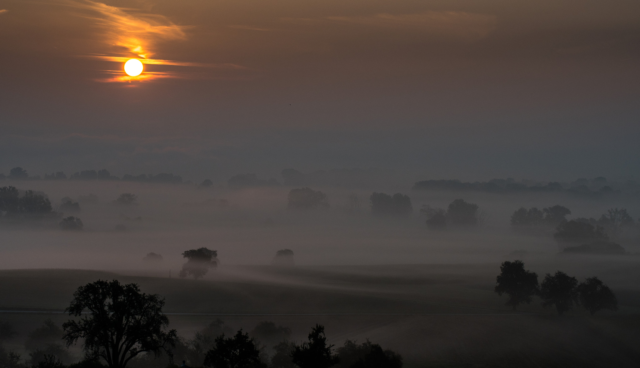 Nikon D500 sample photo. Sunrise over foggy lake constance photography