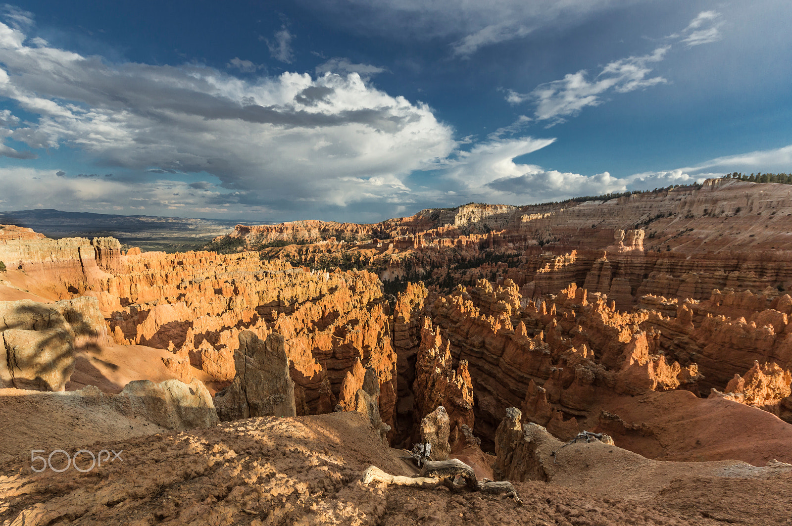 Sigma 8-16mm F4.5-5.6 DC HSM sample photo. Bryce canyon. sunset point. photography