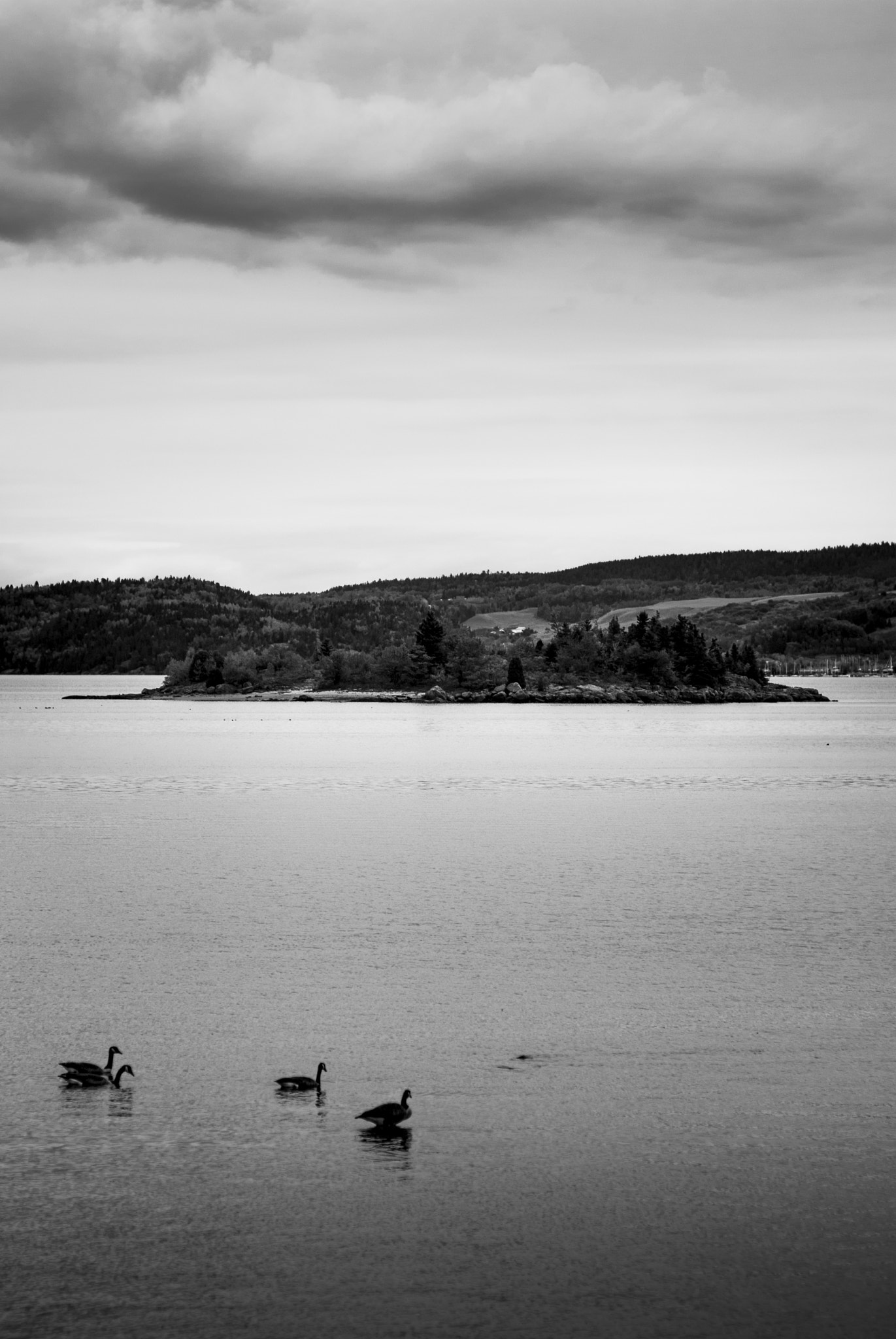 ZEISS Planar T* 85mm F1.4 sample photo. Bay of hahas photography