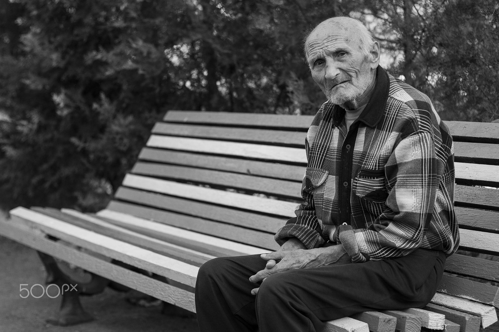 Canon EOS 500D (EOS Rebel T1i / EOS Kiss X3) sample photo. Fruitless gift, at random handed. photography