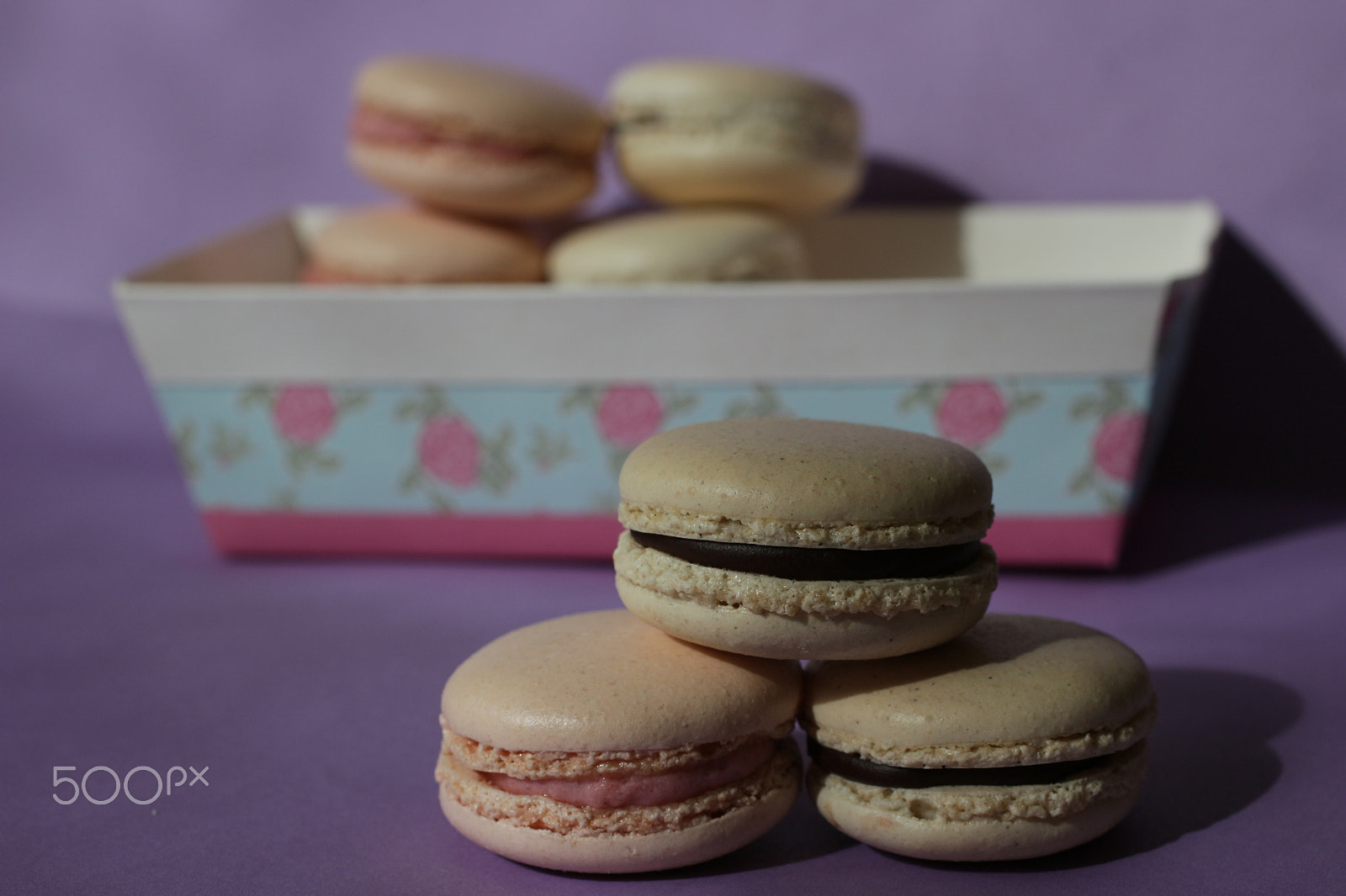 Canon EOS 100D (EOS Rebel SL1 / EOS Kiss X7) + Canon EF 50mm F2.5 Macro sample photo. My macarons photography