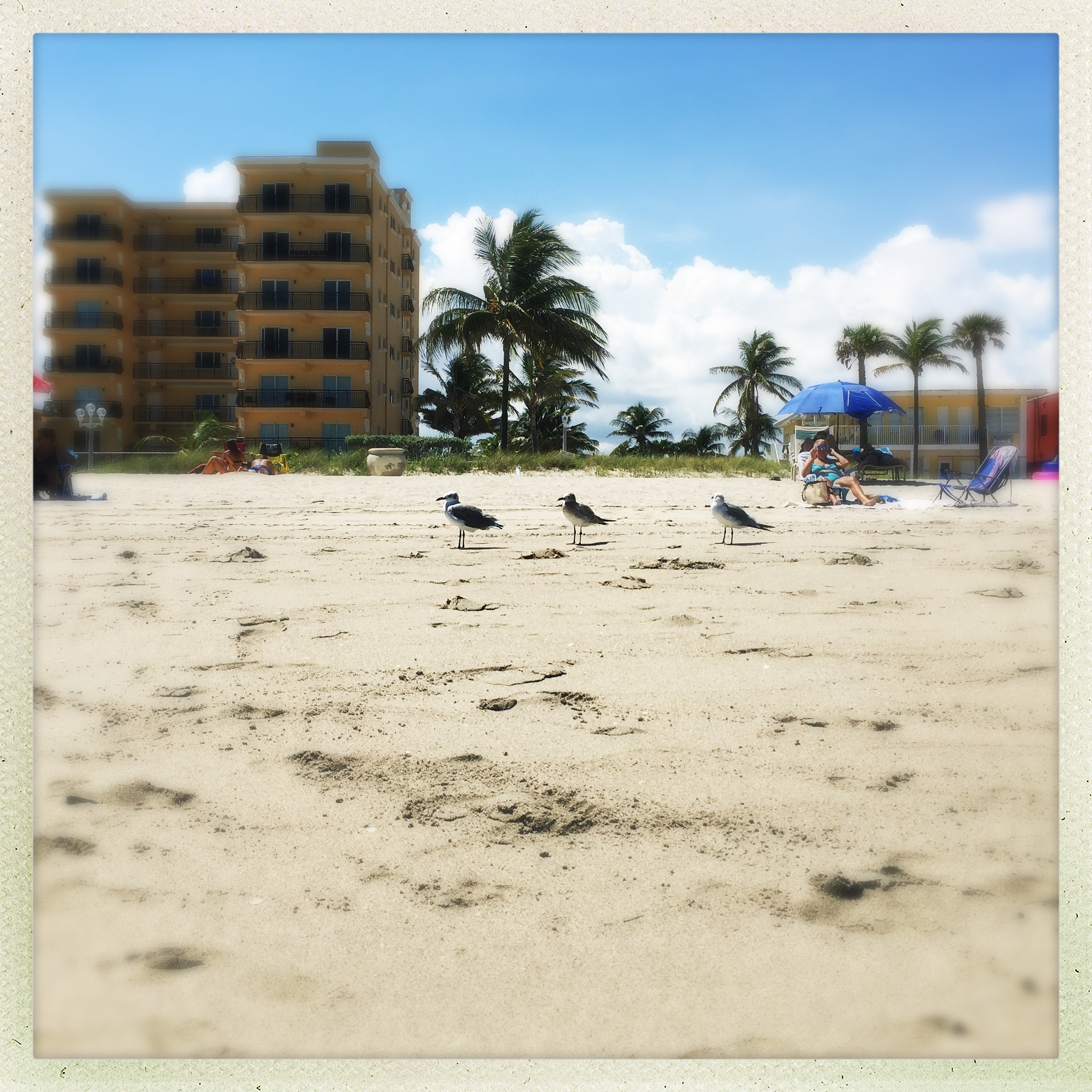 Hipstamatic 321 sample photo