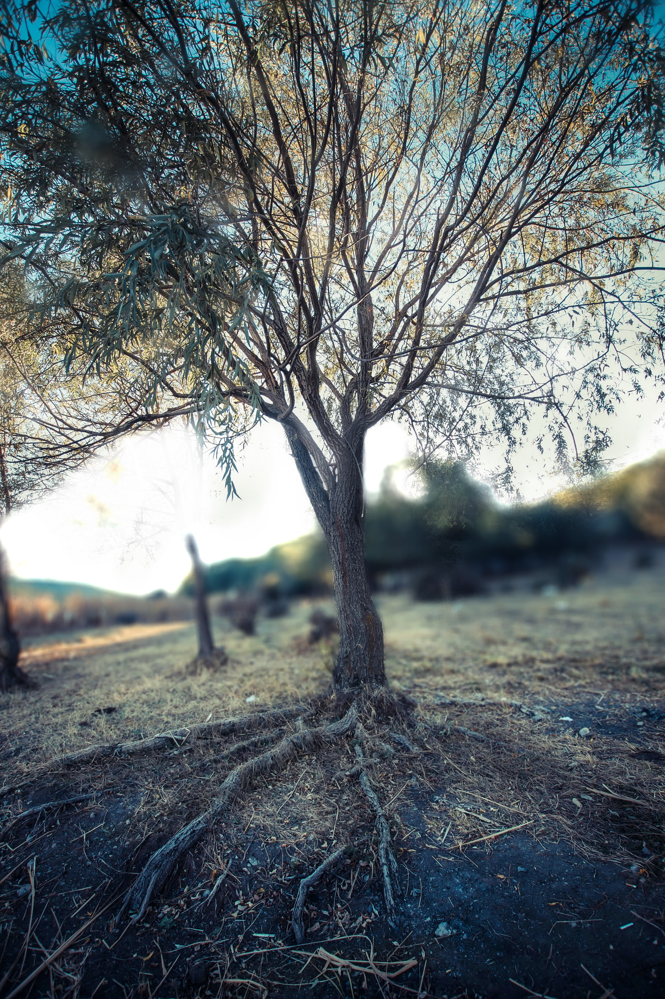 Sigma 10-20mm F3.5 EX DC HSM sample photo. Img photography