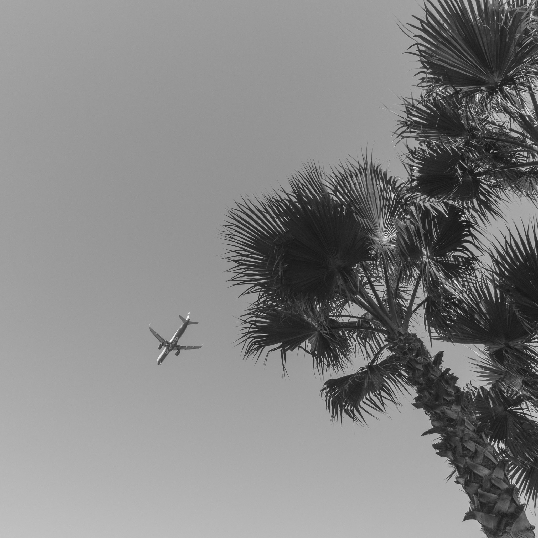 PENTAX RICOH IMAGING PENTAX MX-1 sample photo. Plane photography