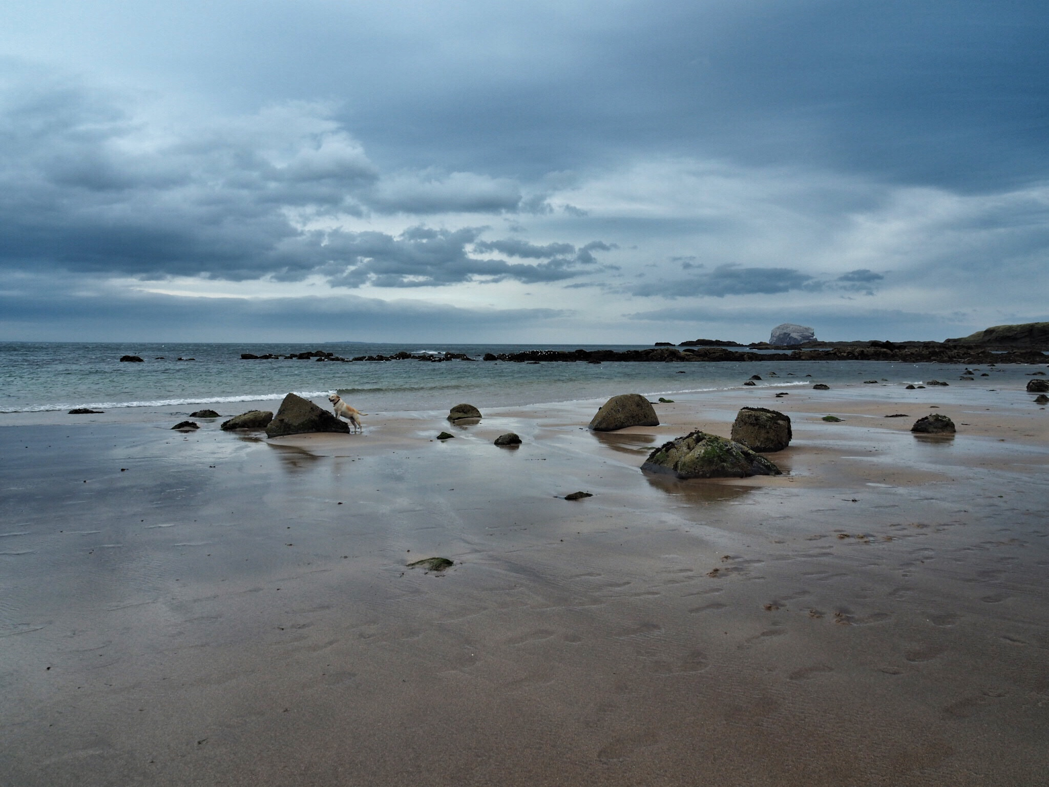 Olympus M.Zuiko Digital ED 14-150mm F4-5.6 sample photo. North berwick photography