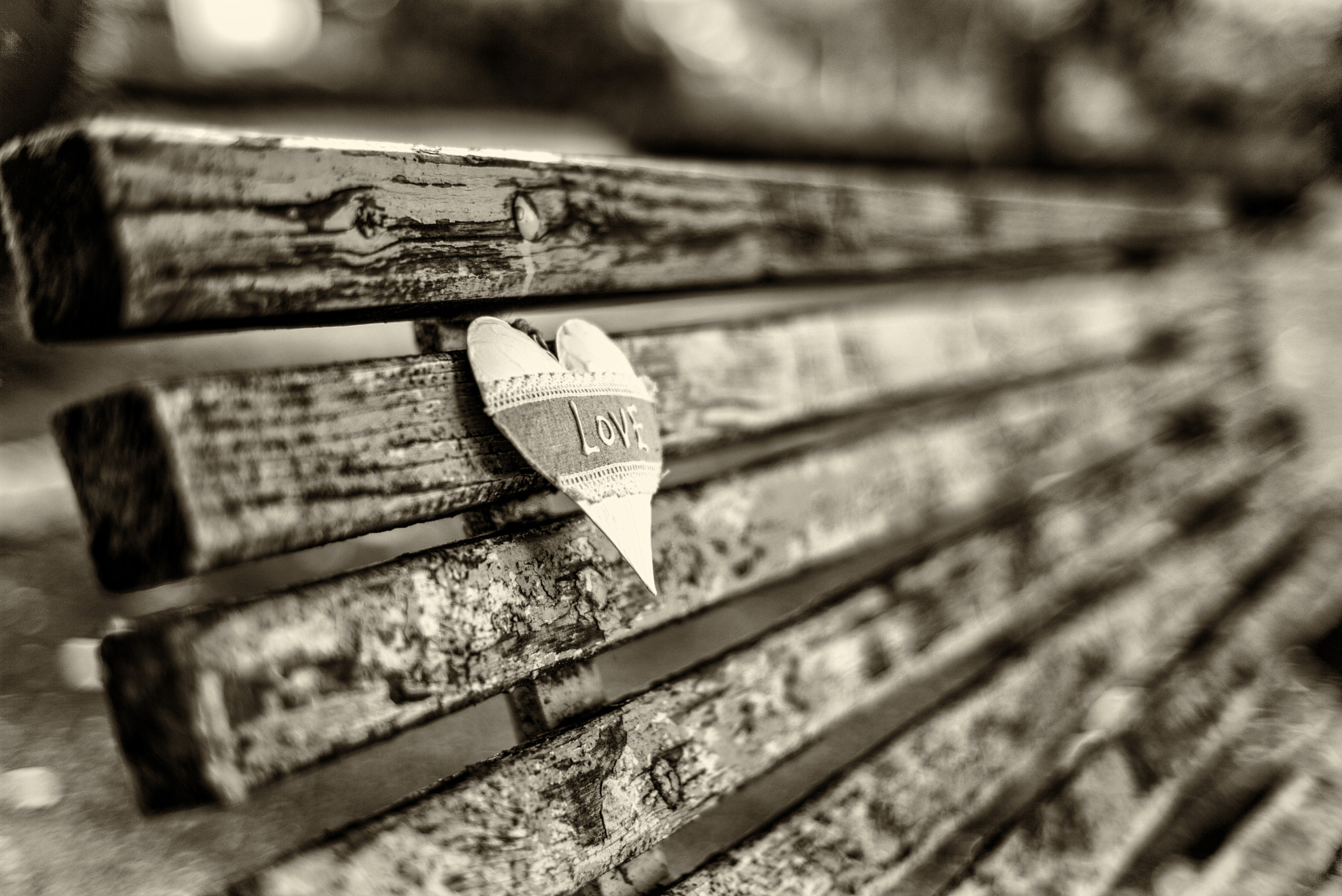 Summilux-M 1:1.4/50 sample photo