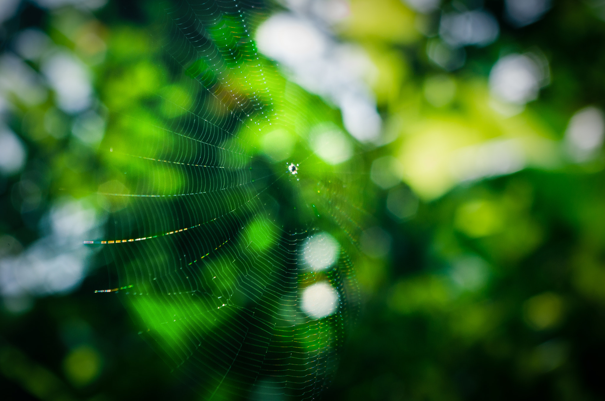 Pentax smc DA 18-55mm F3.5-5.6 AL WR sample photo. Air drifter photography