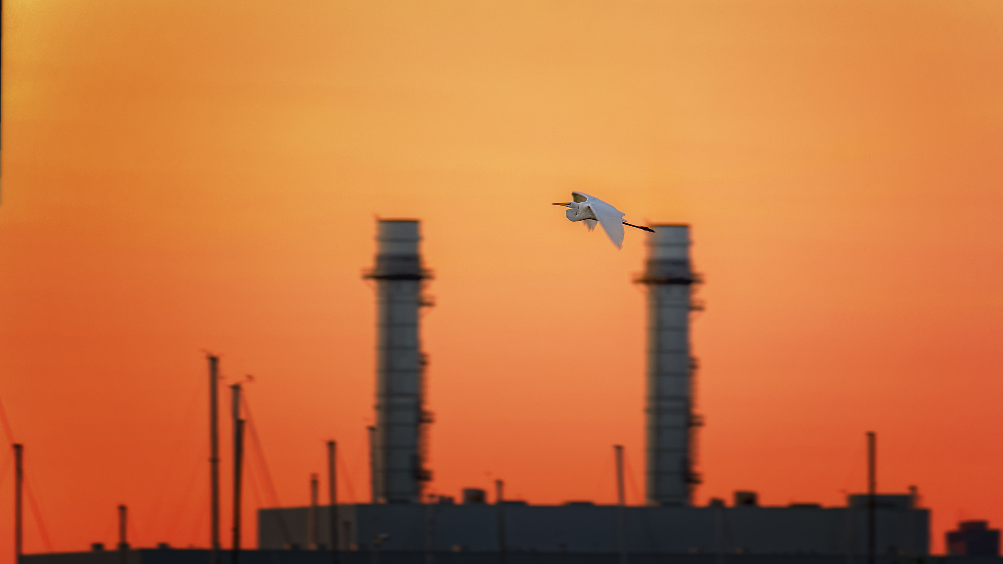Canon 70.0-300.0 mm sample photo. Stacks an stork photography